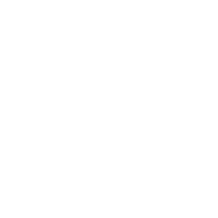 Licor 43